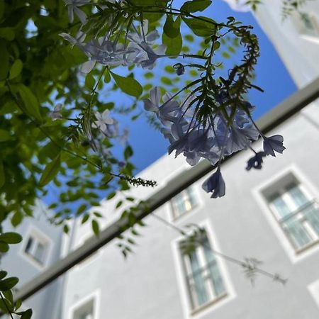 Hotel San Miguel Menorca Mahón Eksteriør billede